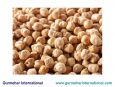 Garbanzo beans / Chickpeas (White Chana)